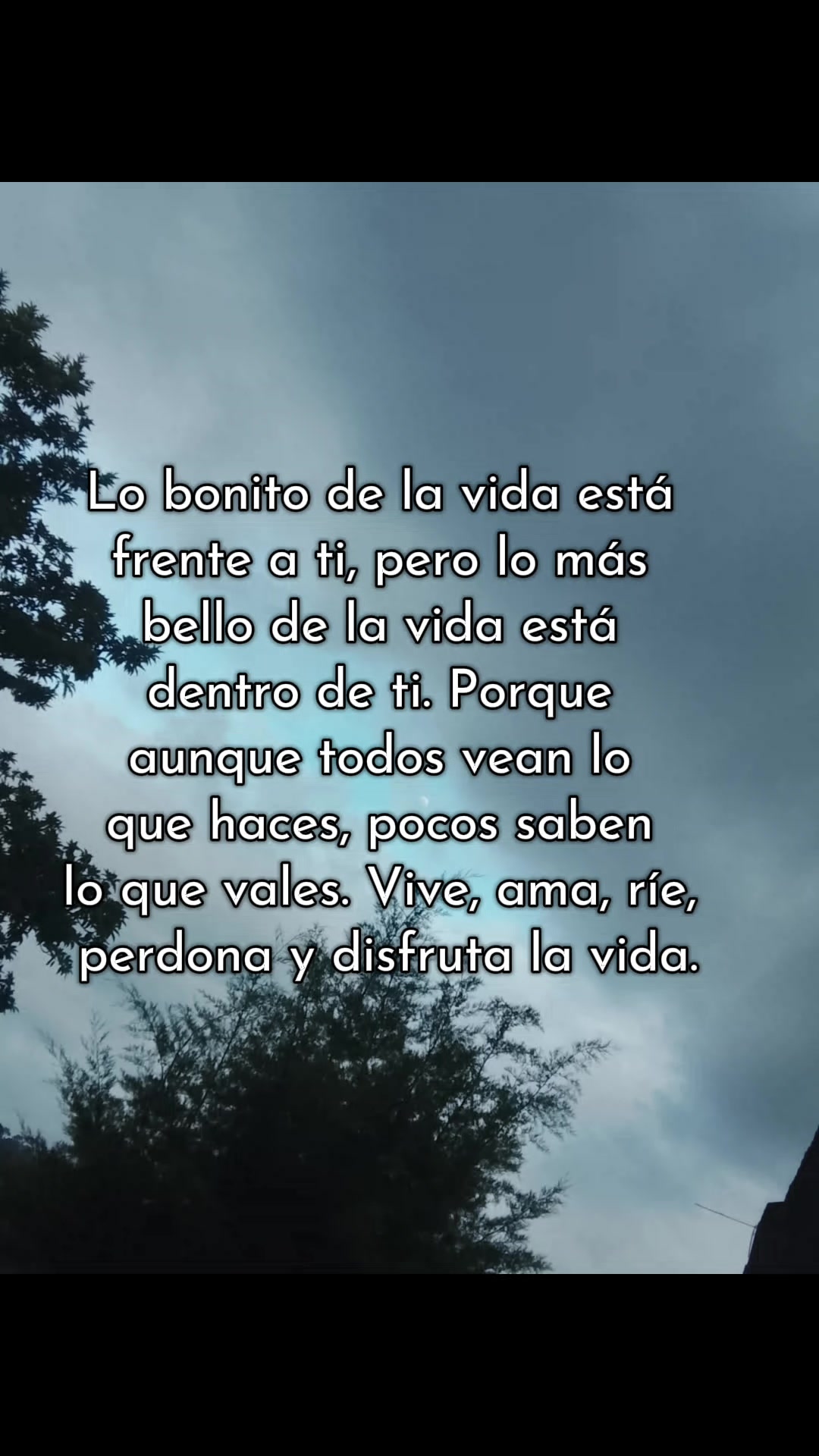 @🌹🌹Iliana Lastro🌹🌹