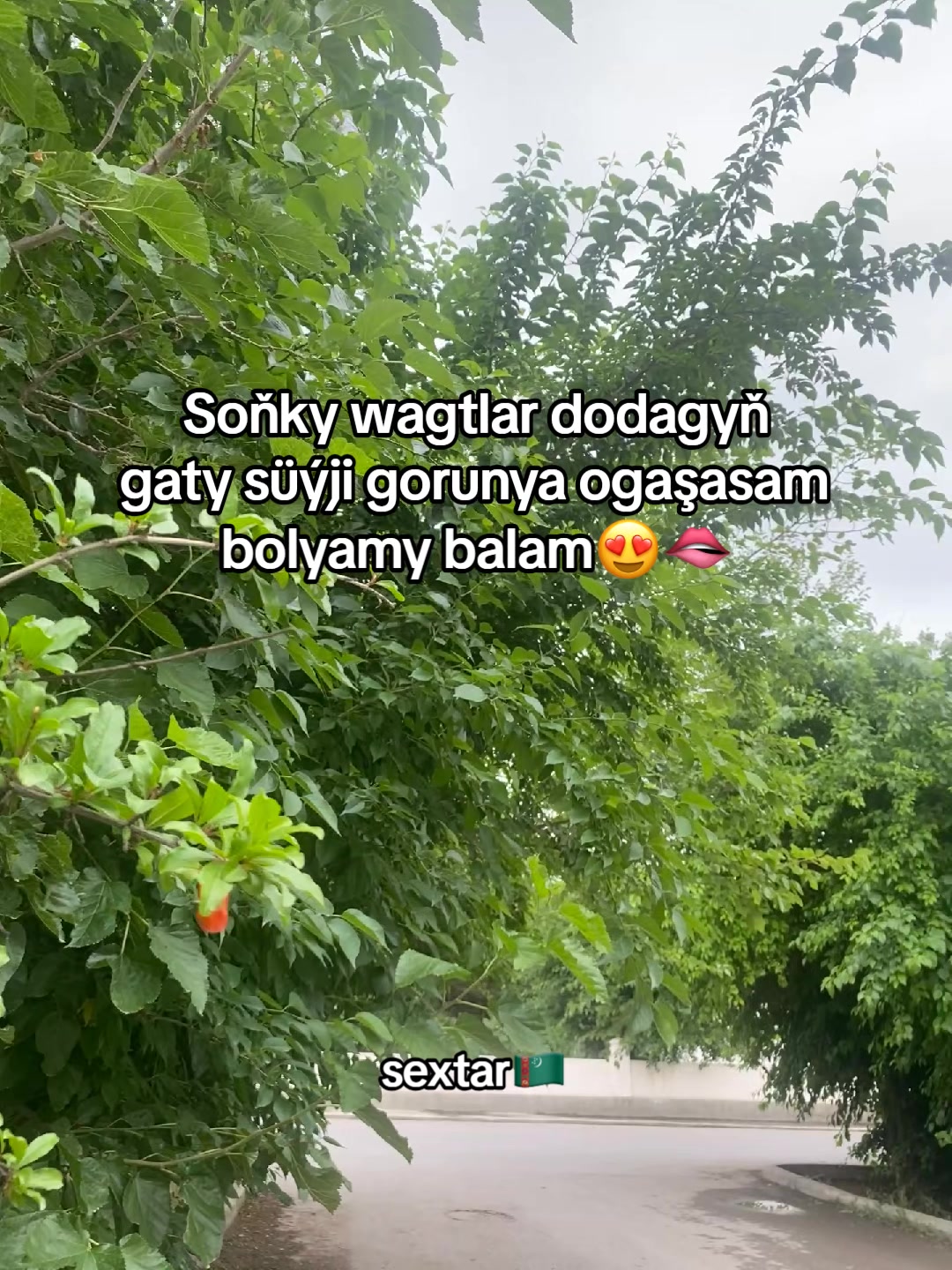 @sextar 🇹🇲