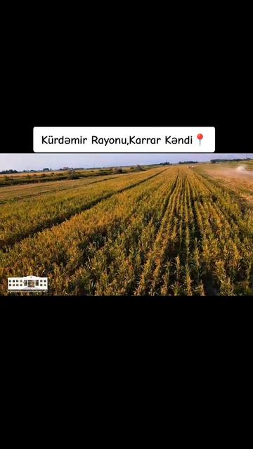 @☻︎ ✌︎ O_Bir_Kürdəmirli ☻︎ ✌︎