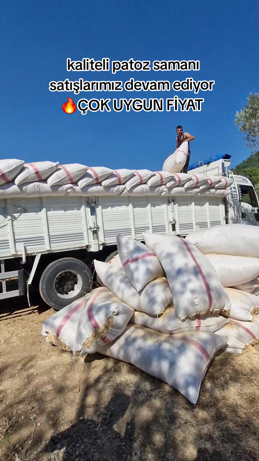 @Cavit G&uuml;reş&ccedil;i