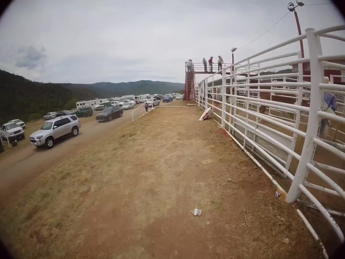 @newmexflex