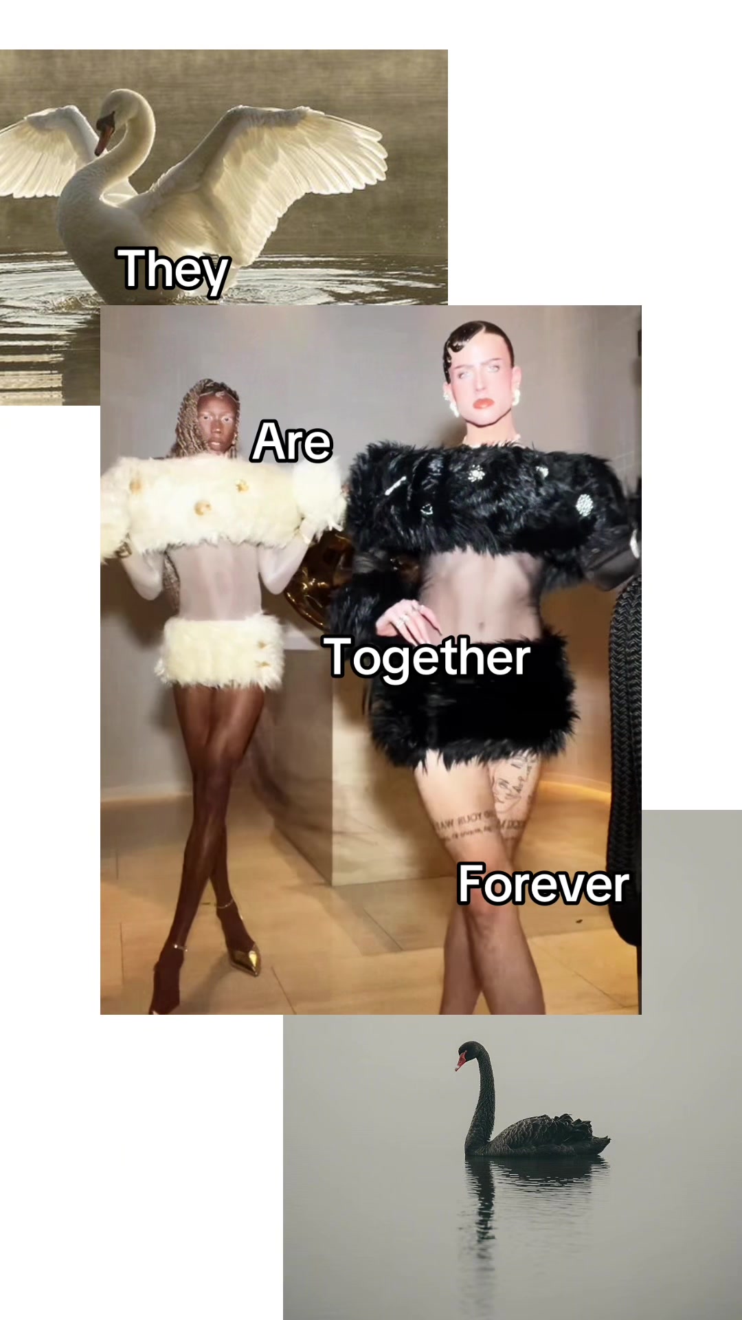 @The Goddess Boys