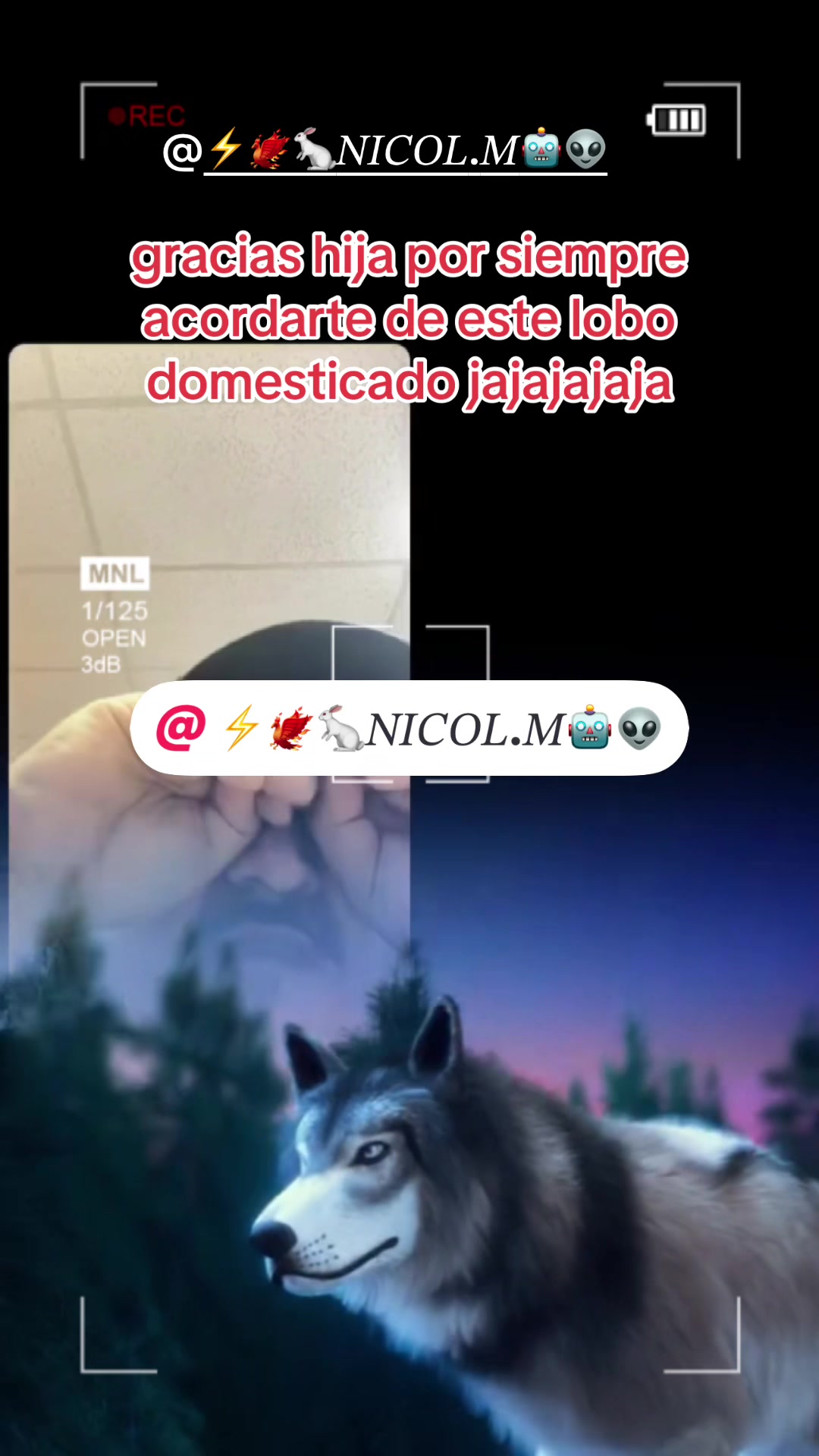 @⚡️🐦🔥Jorgito.N🤖