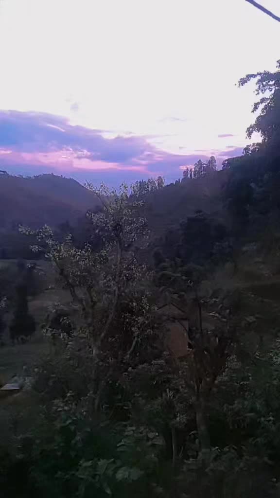 @संगीता श्रेष्ठ 🥰