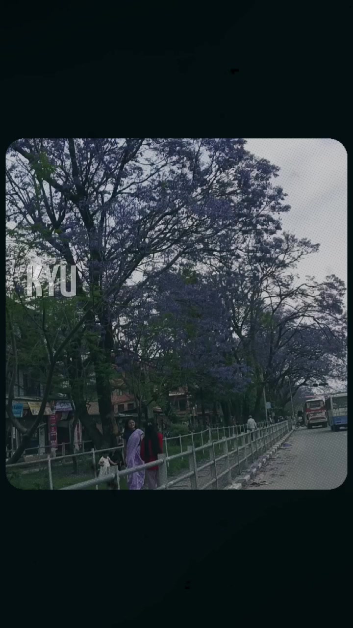 @Sarmila Yadav
