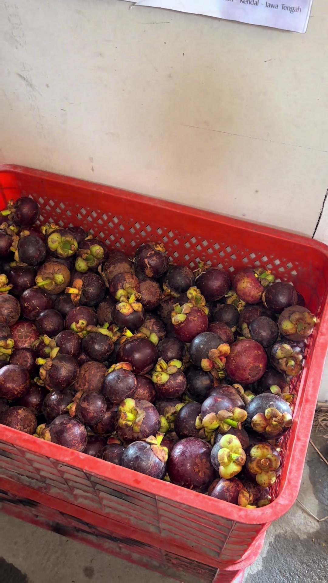 @Yy fruits