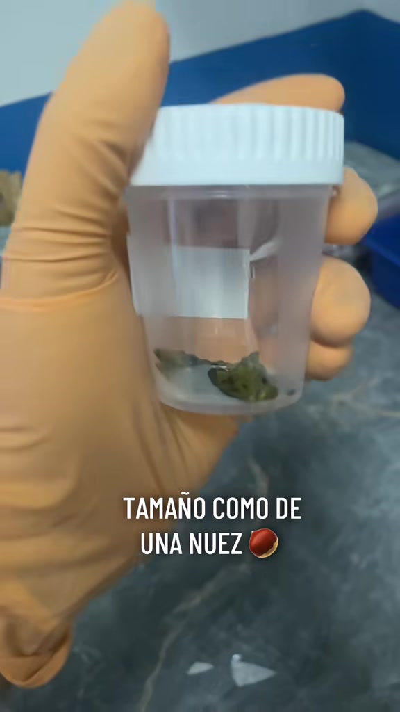 @ALab 🔬💉🩸