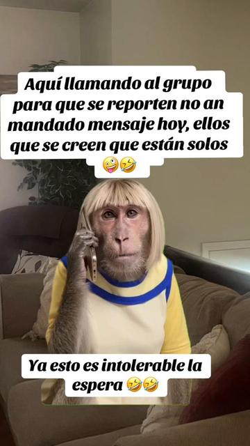 @Josefina Castañeda