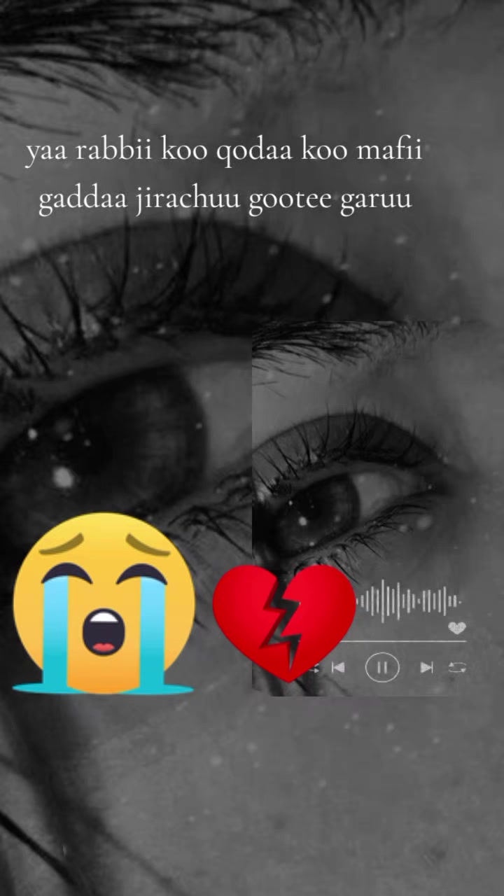 @jirufi jiraa shawa
