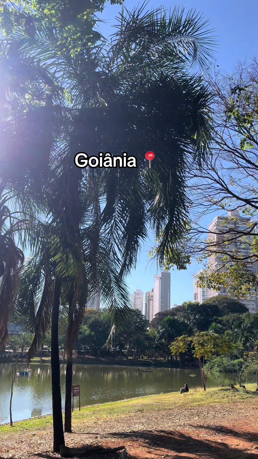 @Paixão Goiana