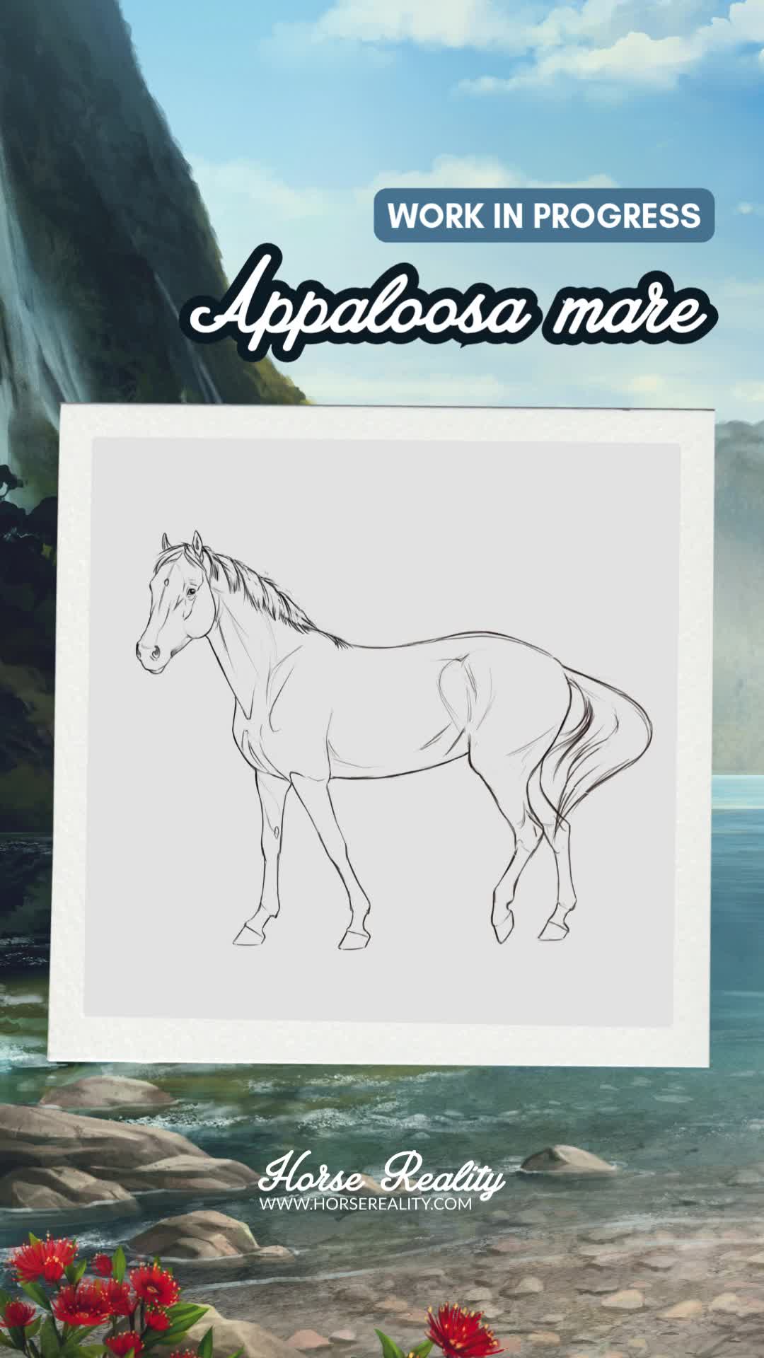 @Horse Reality
