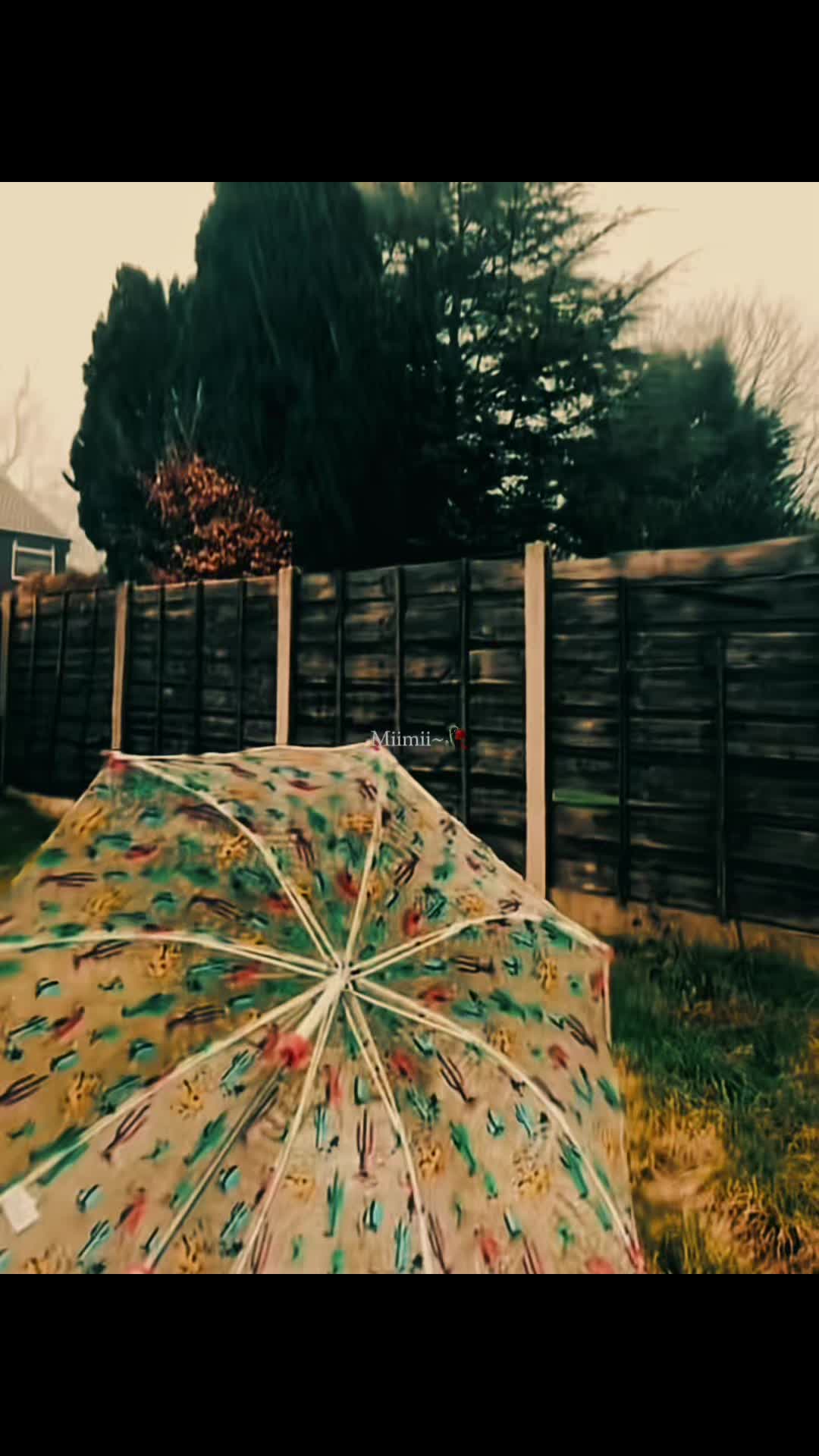 @ꨄ︎𝓜𝓲𝓶𝓲🥀