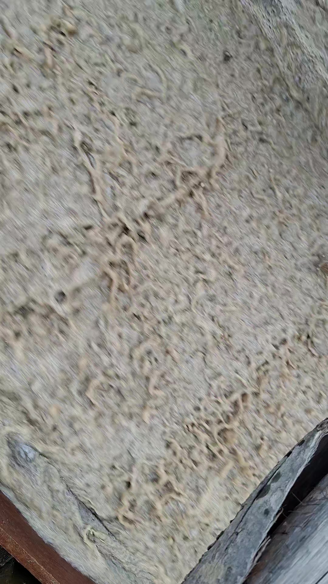 @RONALDY_027