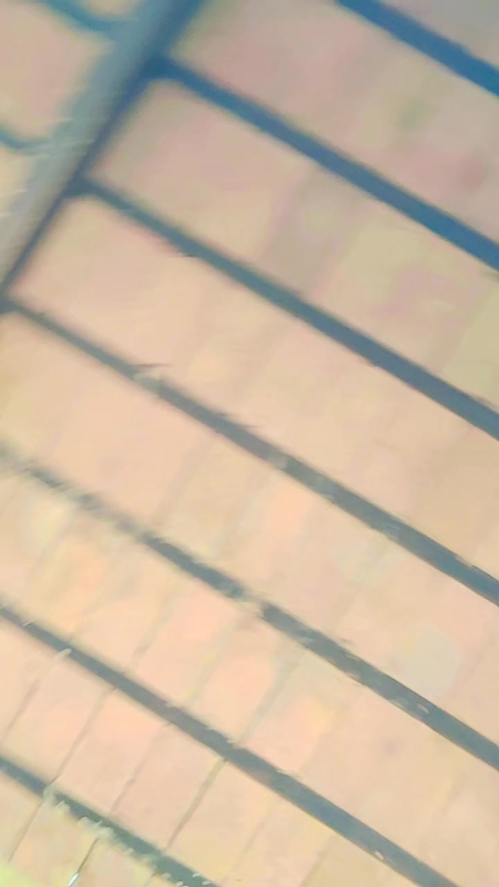 @༺ 𒆜▄︻̷̿┻̿═━一 🔥乃ムレocん 333🖕▄︻