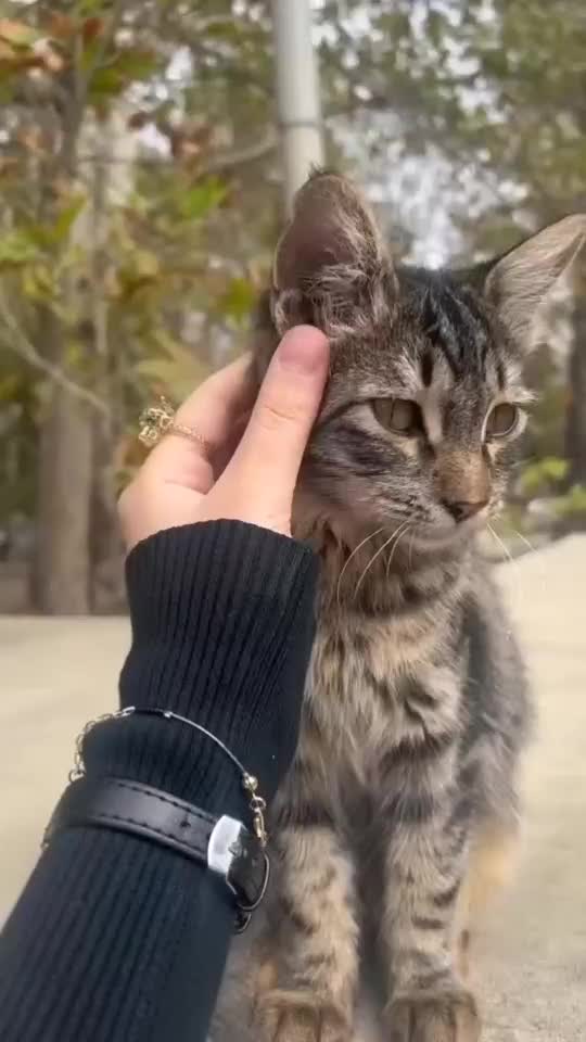@𝑻𝑼𝑻𝑼 ⚖️