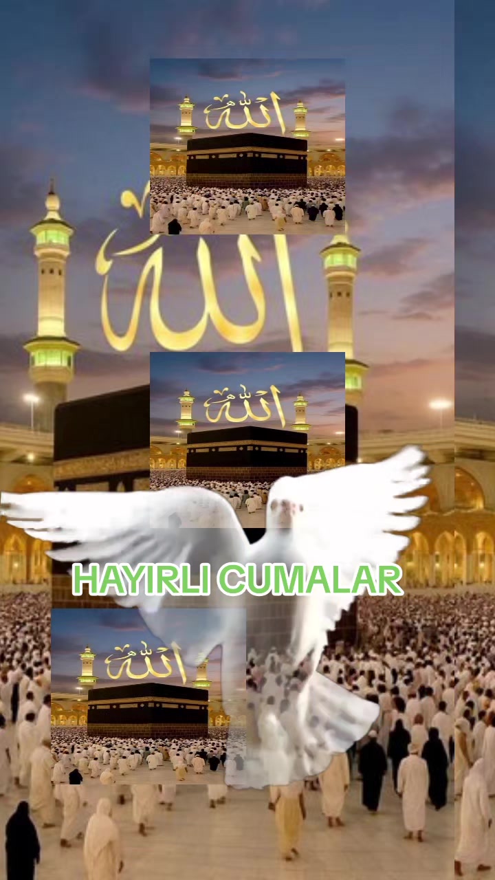 @Ecrin Yildiz