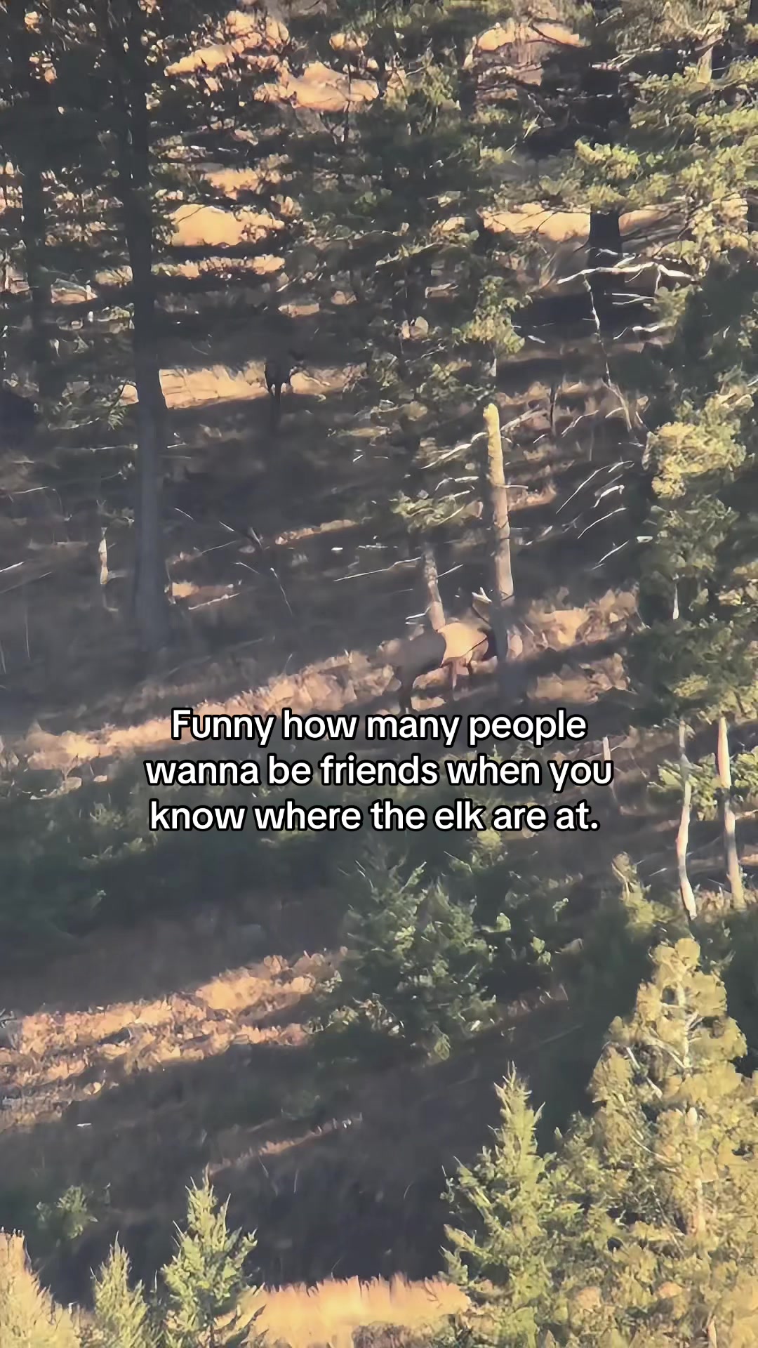 @James