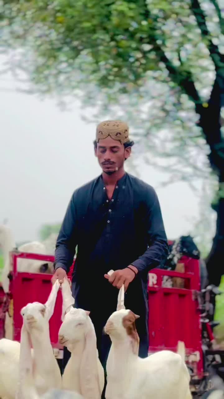 @✨.زاهد سولنگي واپاري. 🐐