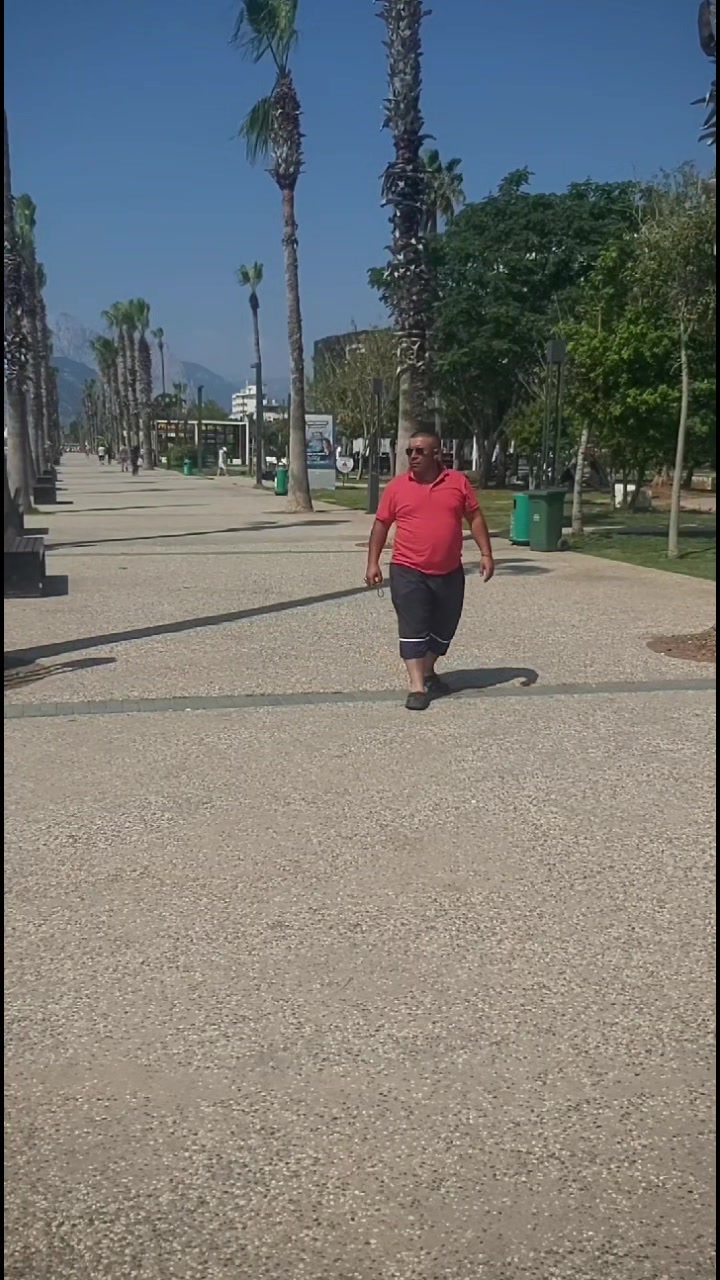 @Efeceli