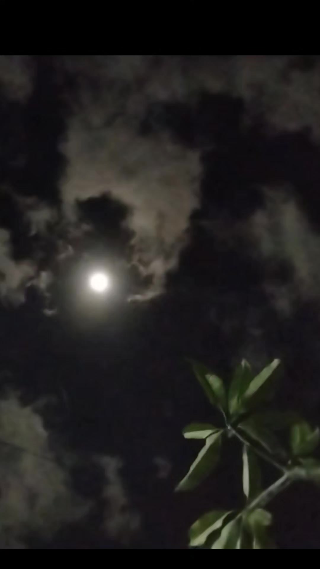@ChoirulplatAE