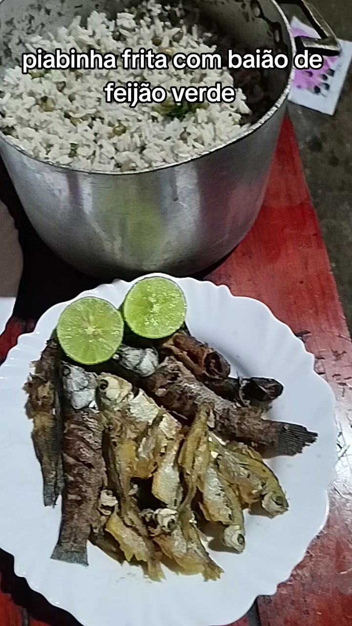 @Jailson do Refúgio🌳🐟