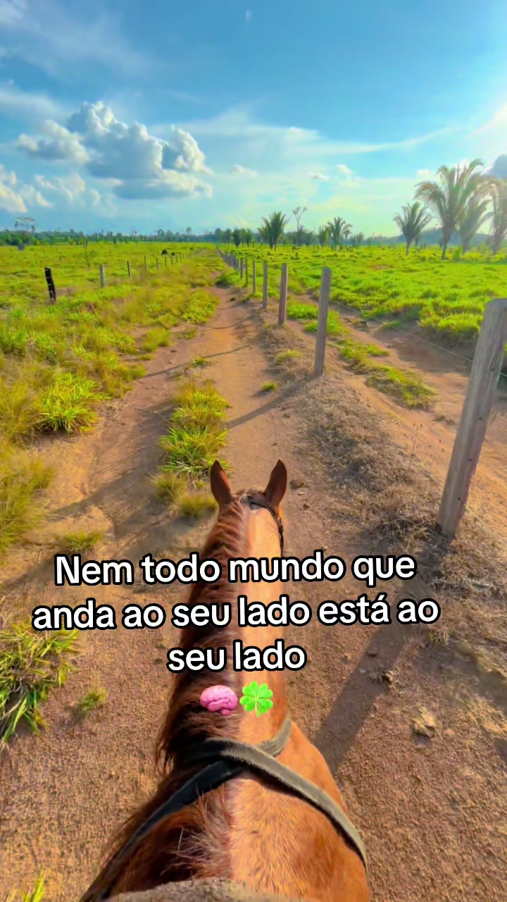 @lukasvieira_🍀