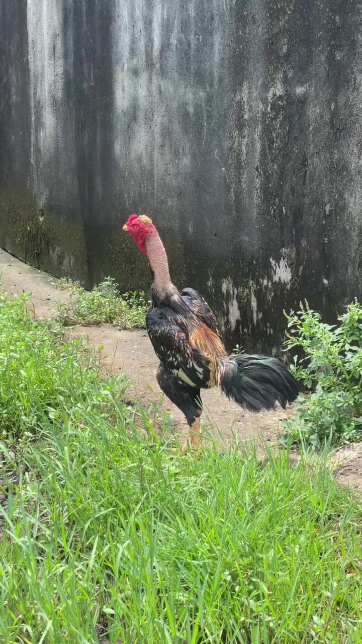 @DT ADUKALAM