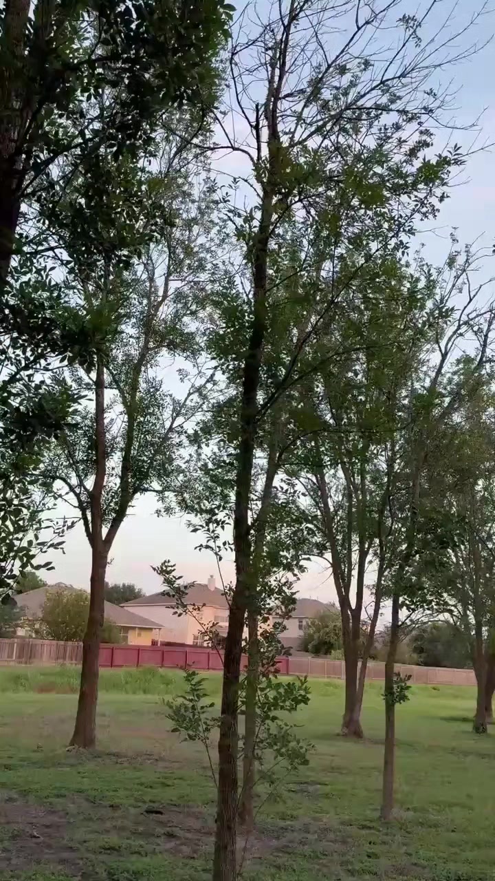 @ek ajanabi