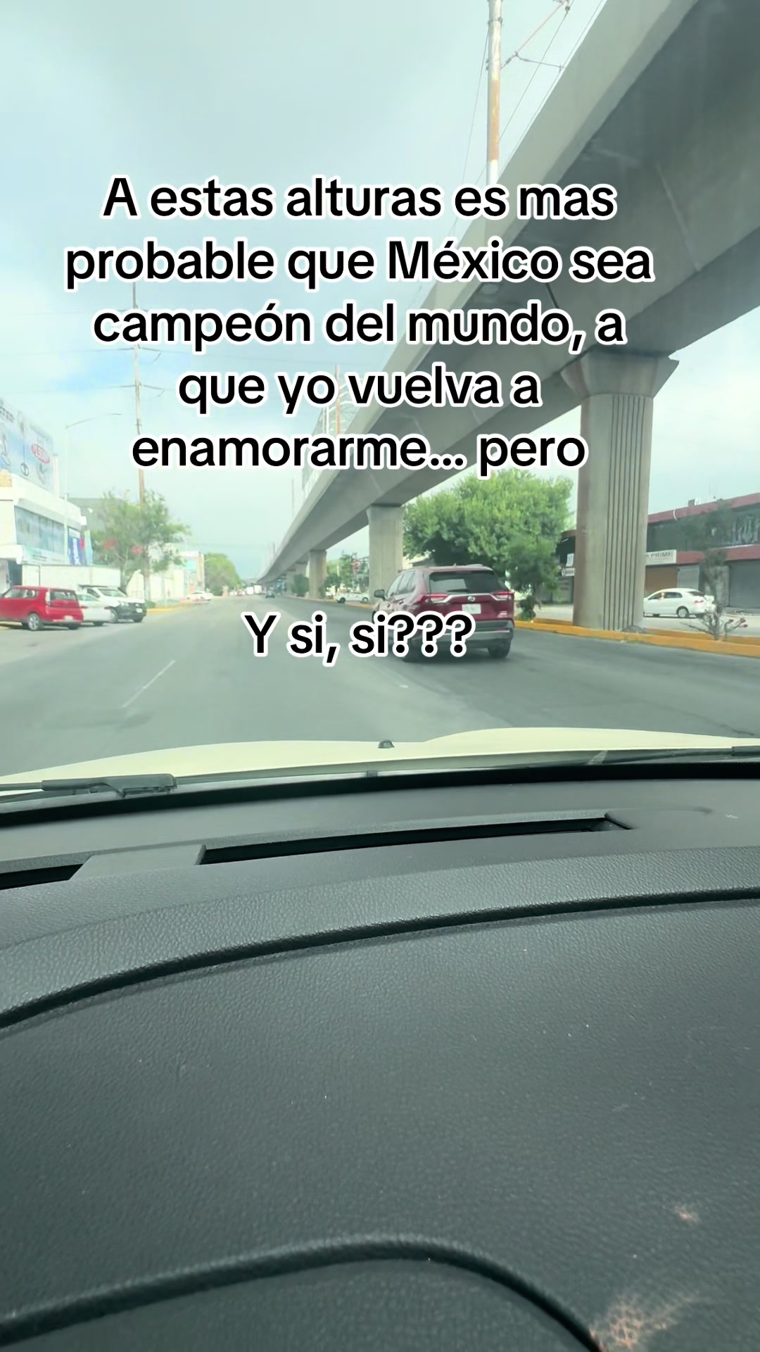 @Luz 🩵