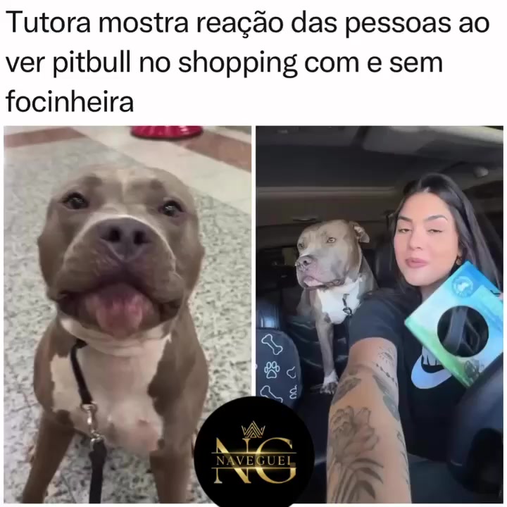 @NAVEGUEI