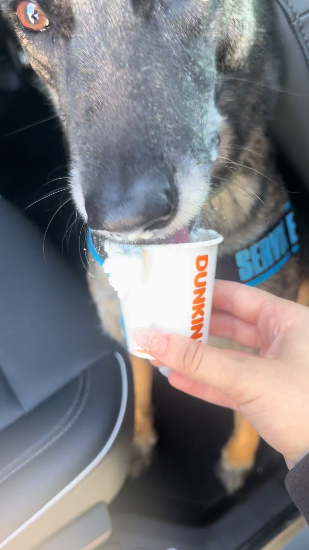 @K9.corporal