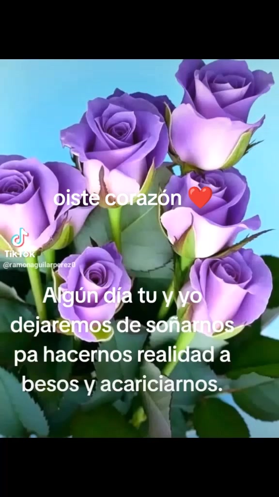 @Sofía Paulette