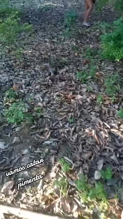 @Milena Santiago