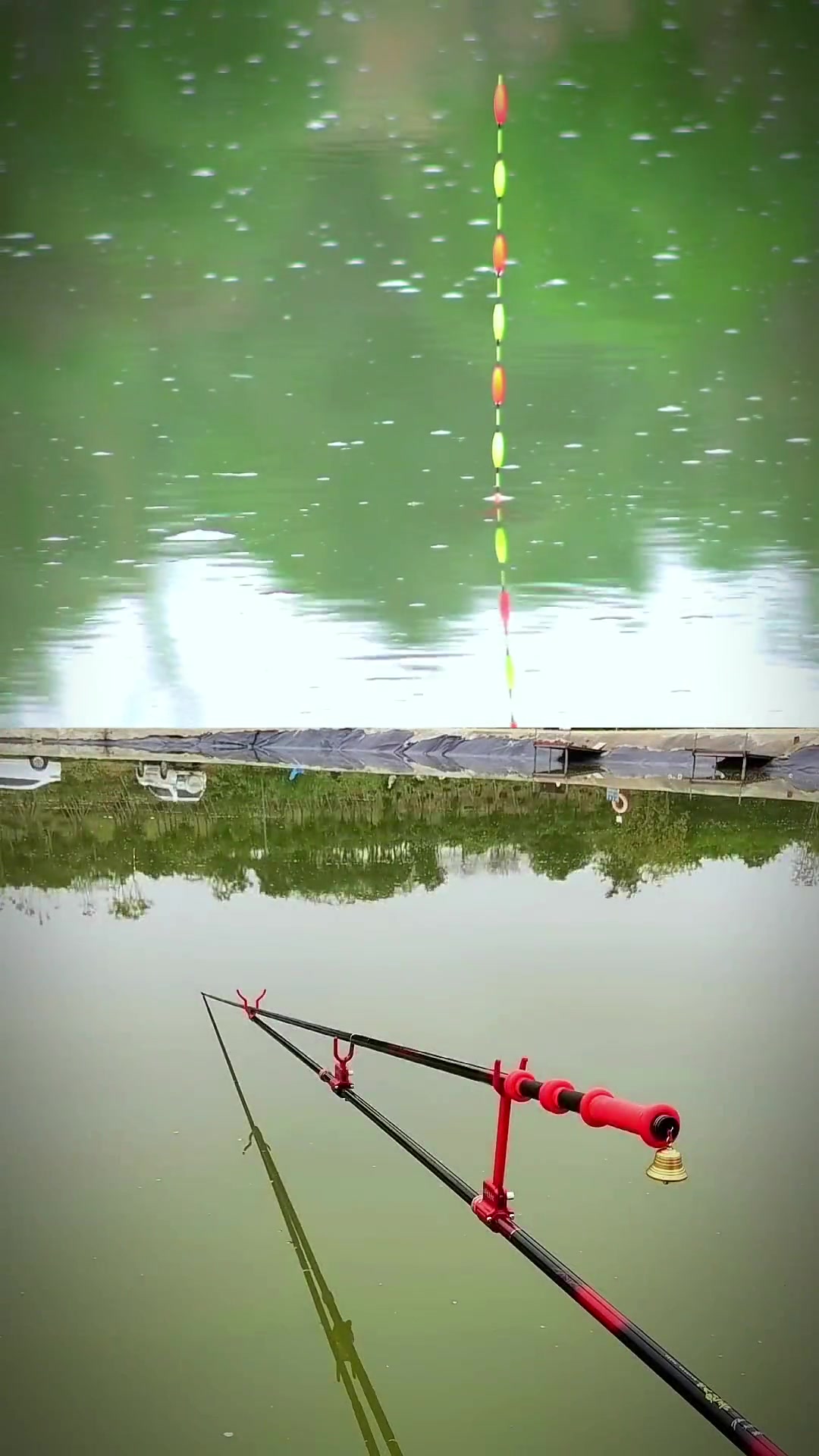 @Tụt l&agrave; vụt 🎣