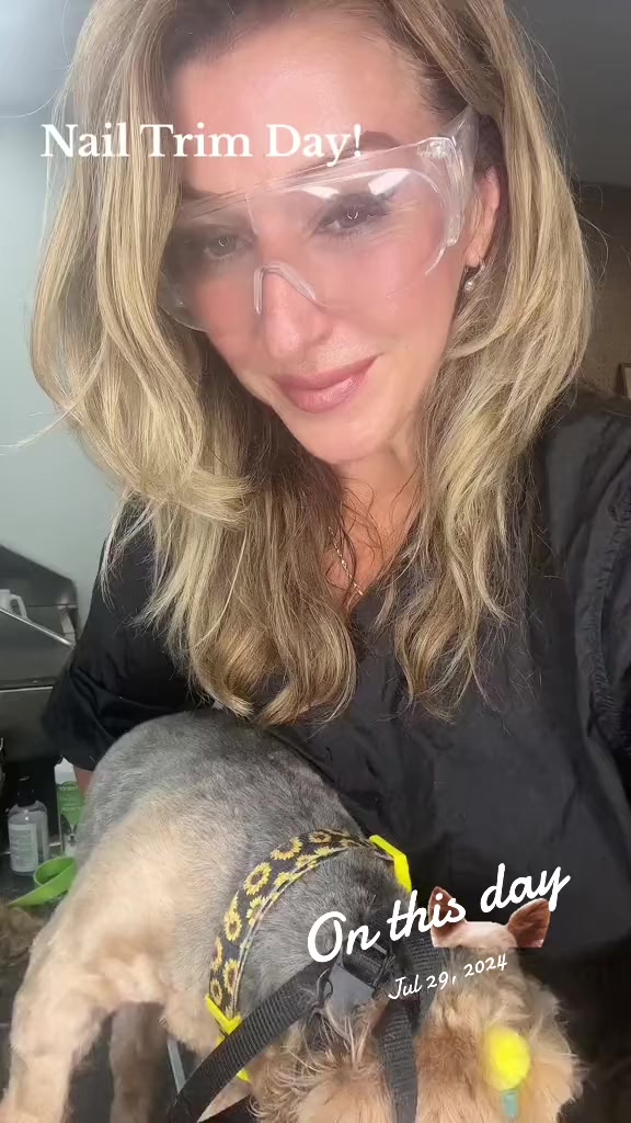 @Groomergonewild 🇨🇦