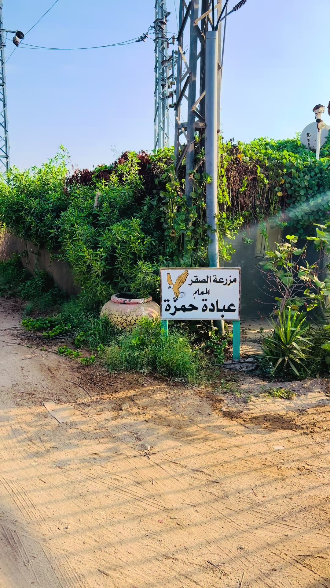 @El saker 123@ ✨🦅