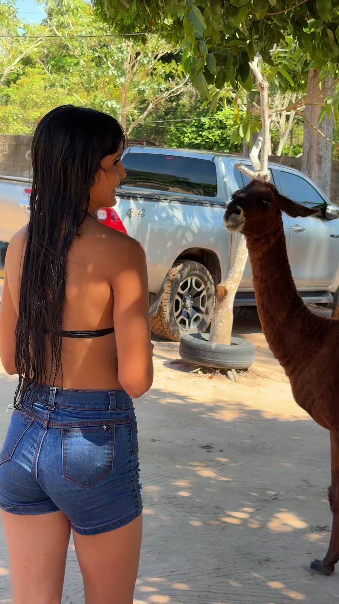 @irmasterraoficial🦋