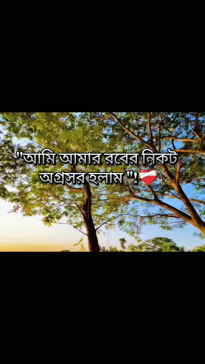 @ۦۗڶمۭياۧء