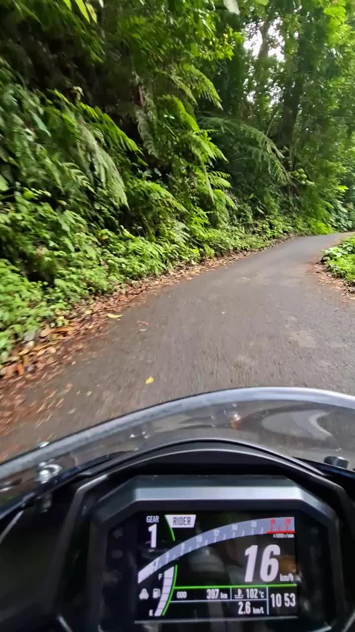 @RobbieMotoBikers🔥