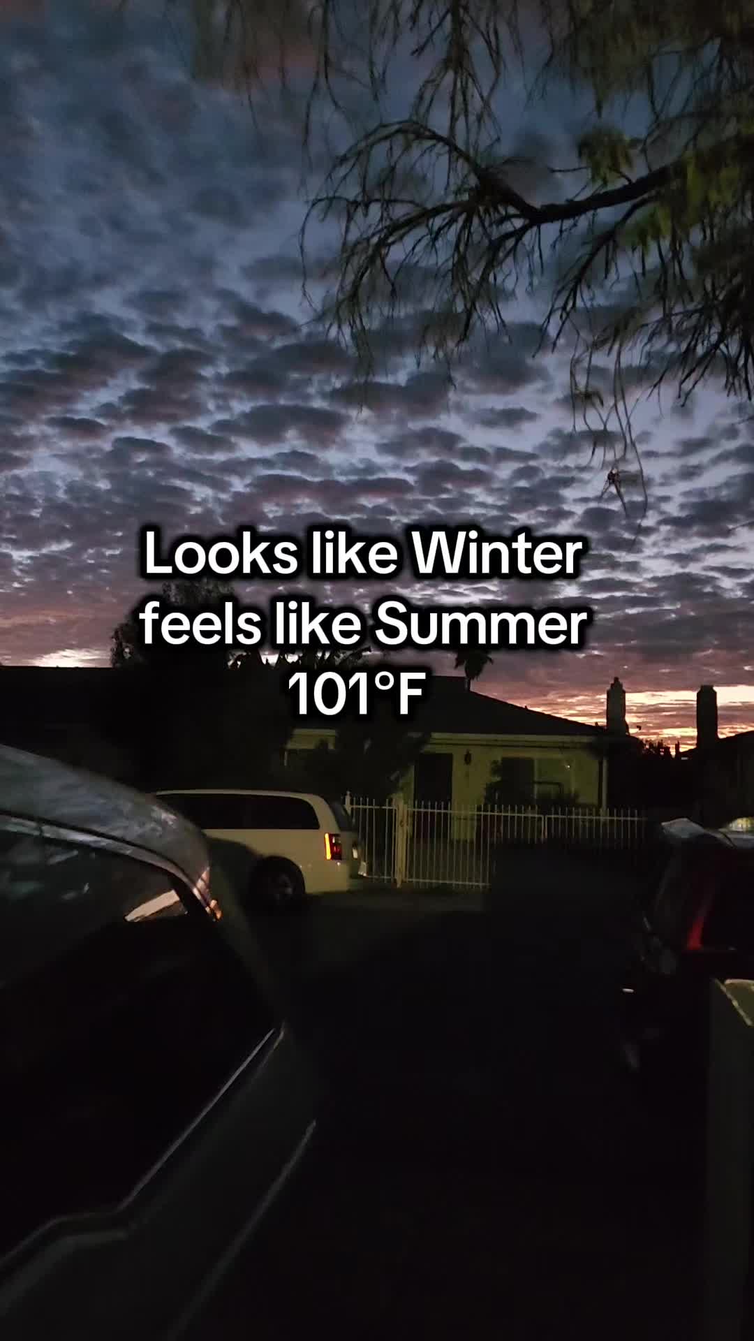 @Aisha Waqas
