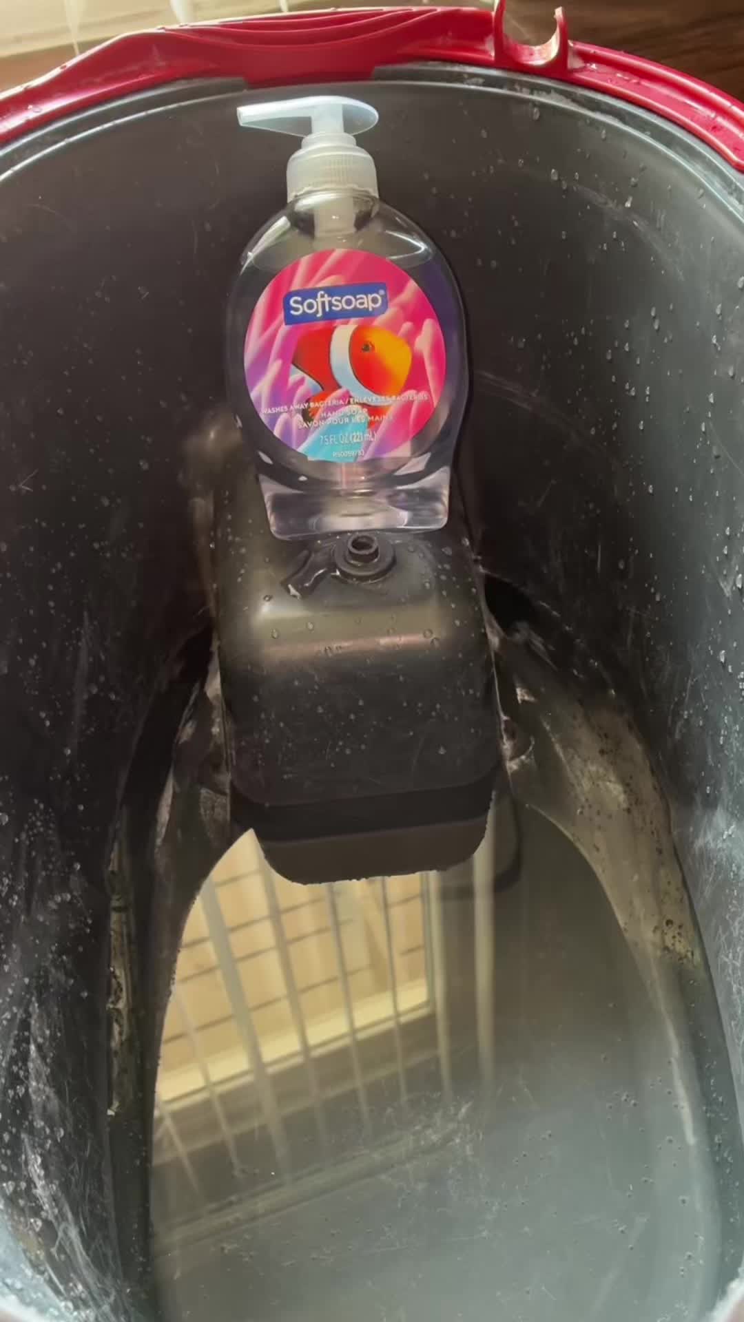 @Robin 🫧 🧼