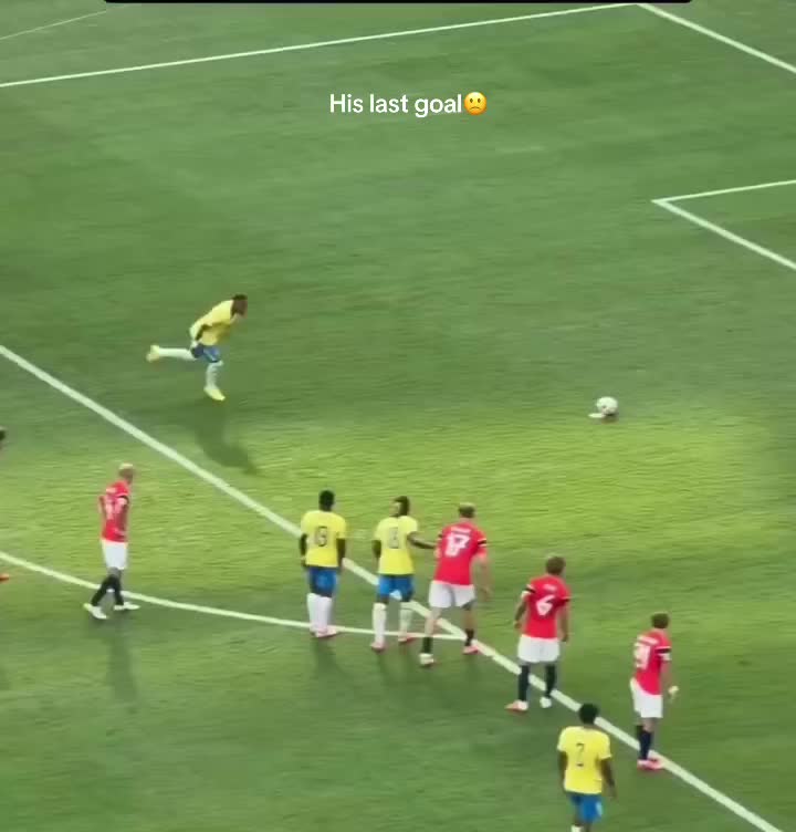 @nic_edits10