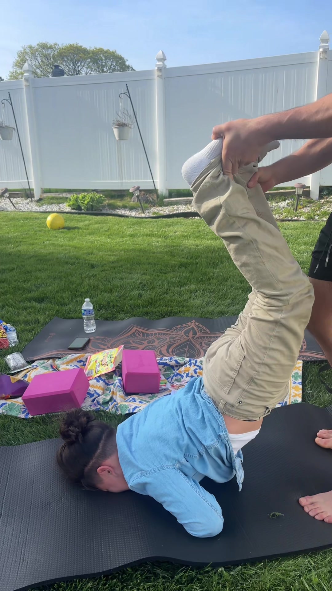 @YOGIMI