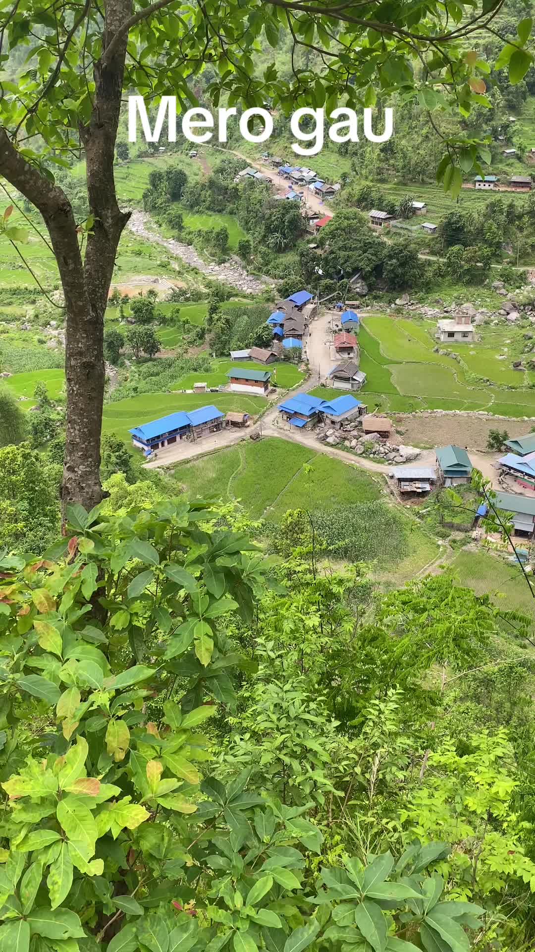 @रुम्बा❣️मुकु❣️🐇🐇