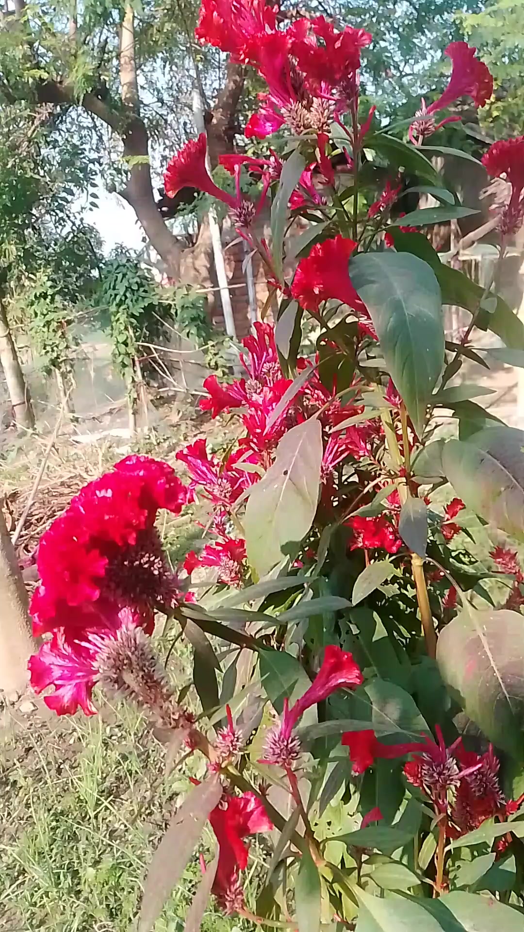 @Arbaj.Khan.S.T.K.D.Love.you.me