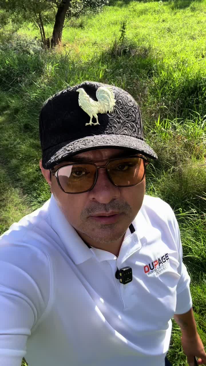 @chavaeldelastrocasenpago