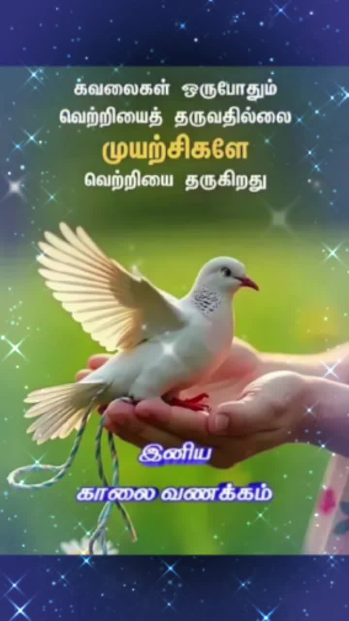 @Sai Meena