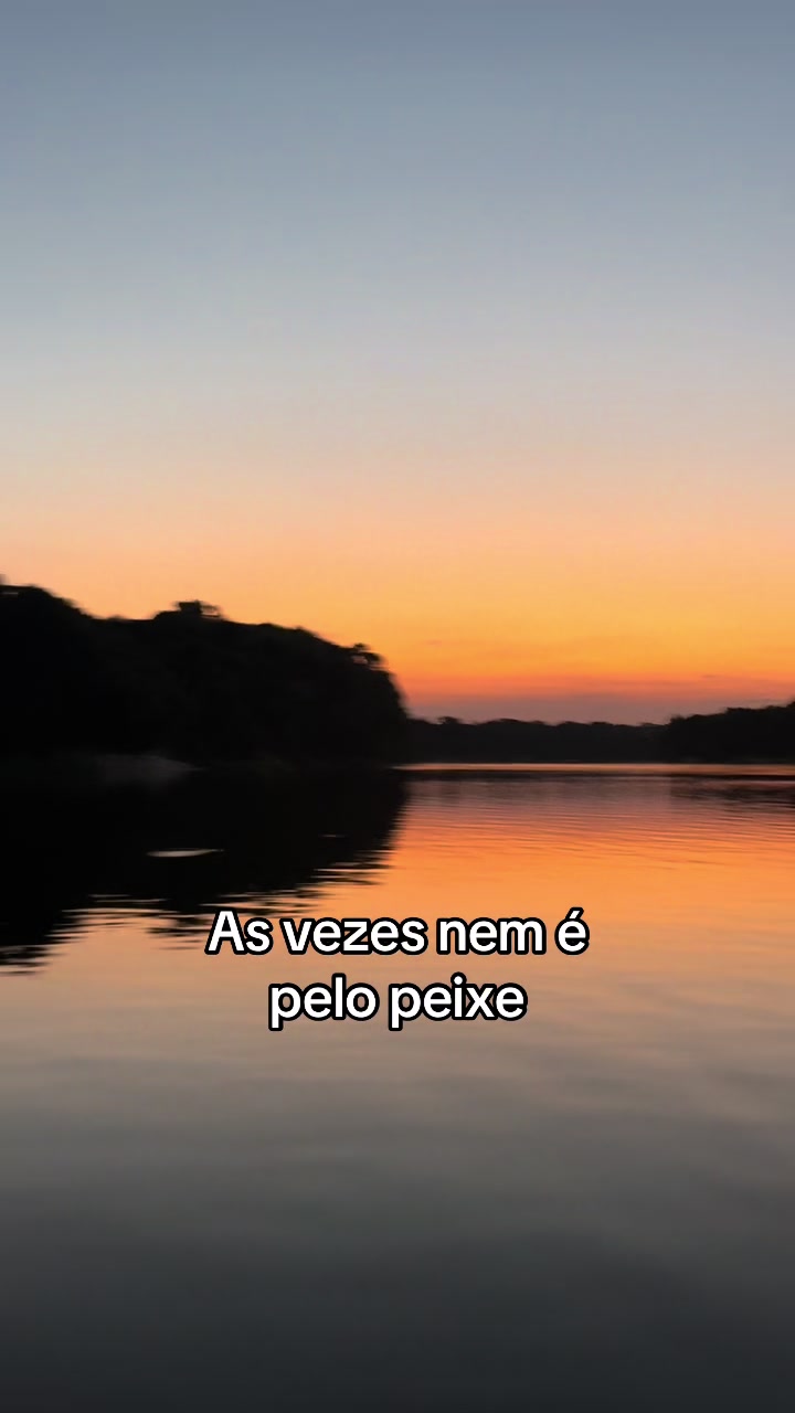 @Paula Carvalho