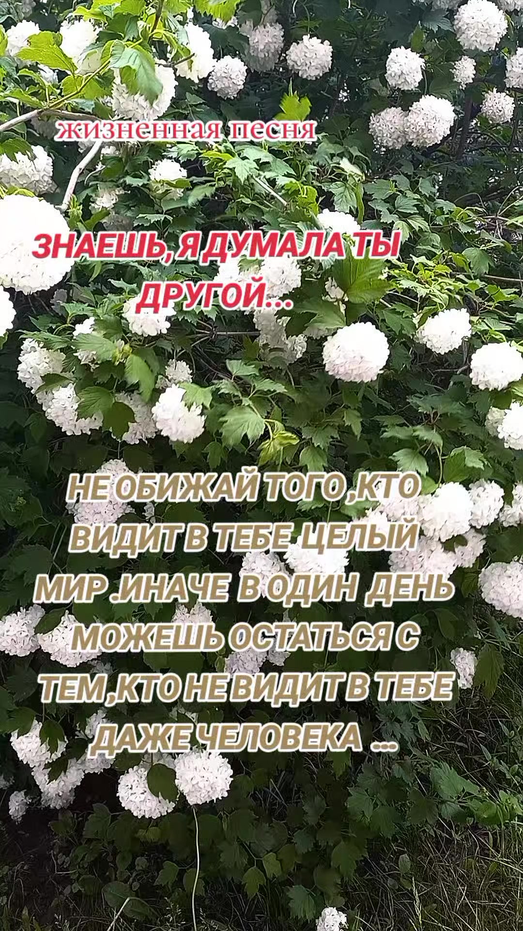 @Мария