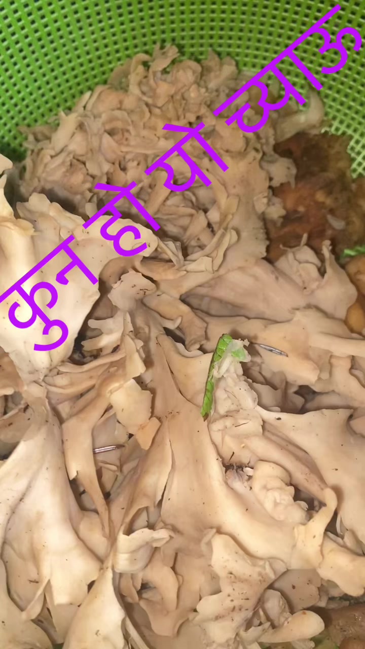 @RajU gIRi